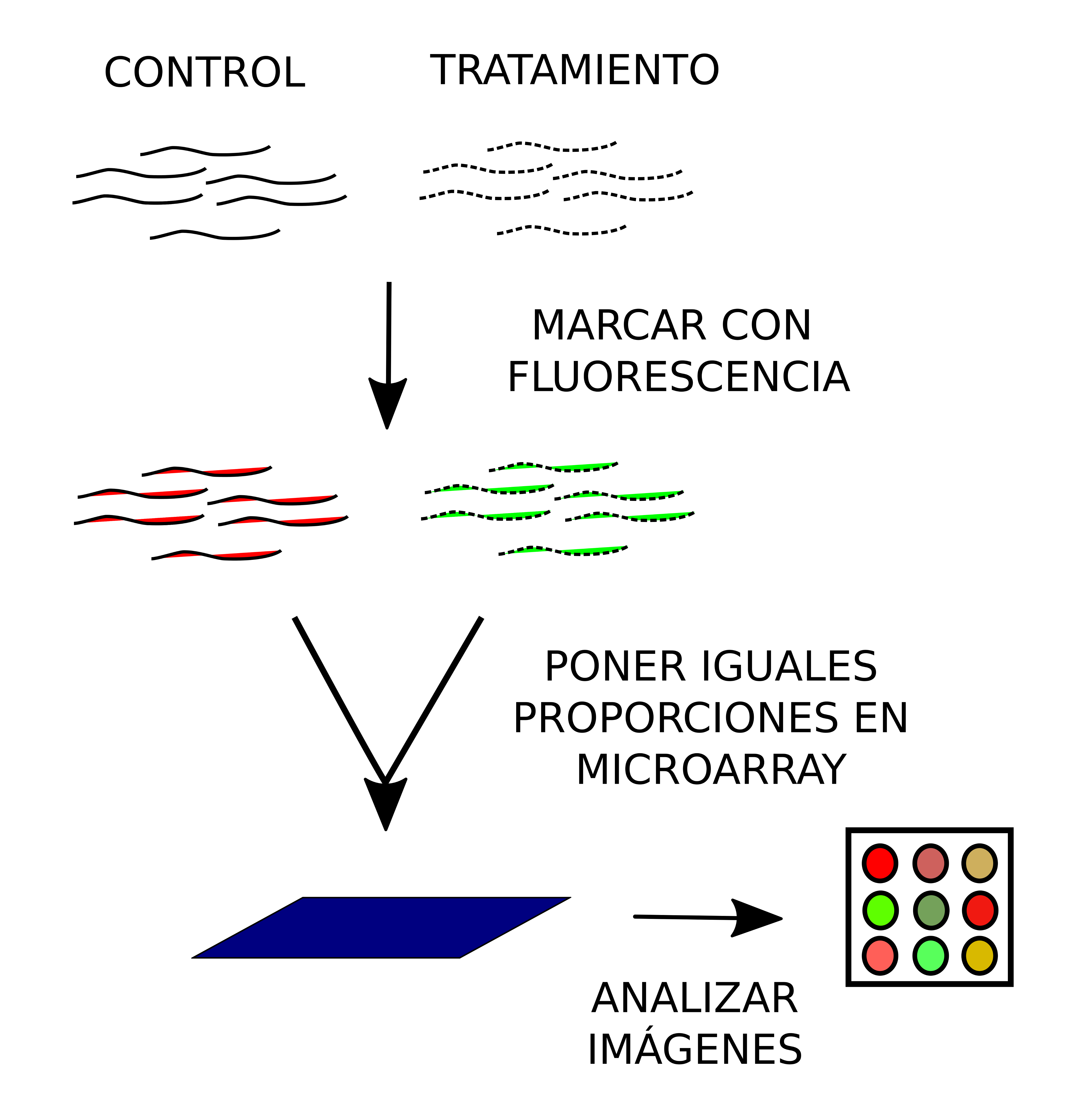 Secuenciación Masiva